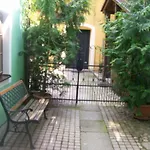 V Centru