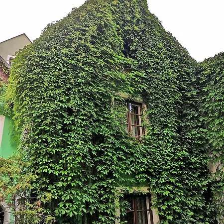 V Centru Apartment *