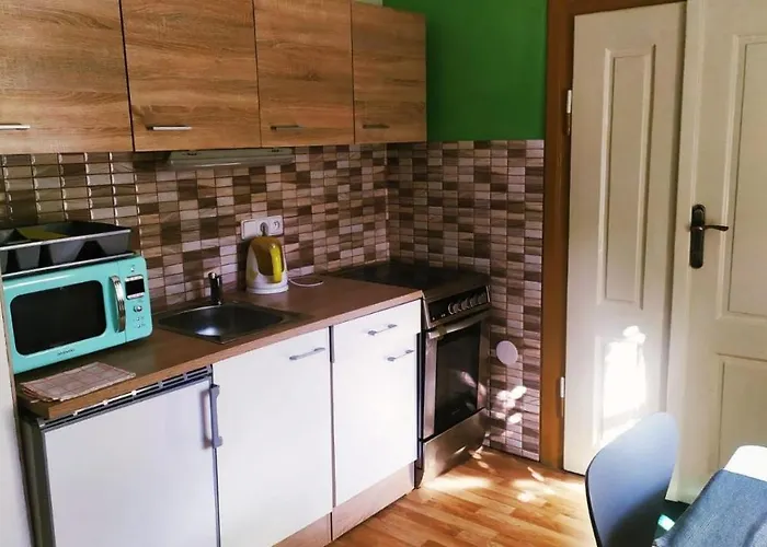 V Centru 公寓 Třeboň